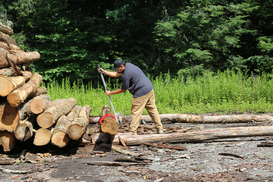 Which Woodchuck Tool Is Right for You? A Complete Buyer's Guide